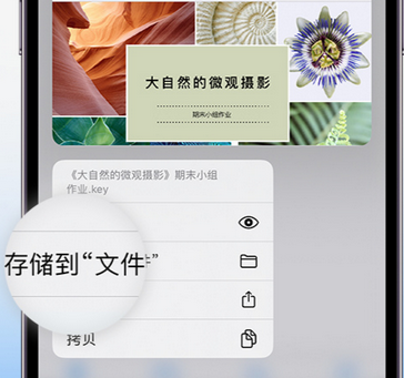 哈尔滨apple维修中心分享iPhone文件应用中存储和找到下载文件