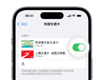 哈尔滨apple维修点分享iPhone上更换Apple Pay快捷交通卡手绘卡面 