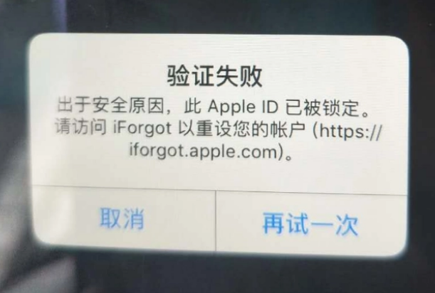 哈尔滨iPhone维修分享iPhone上正常登录或使用AppleID怎么办 