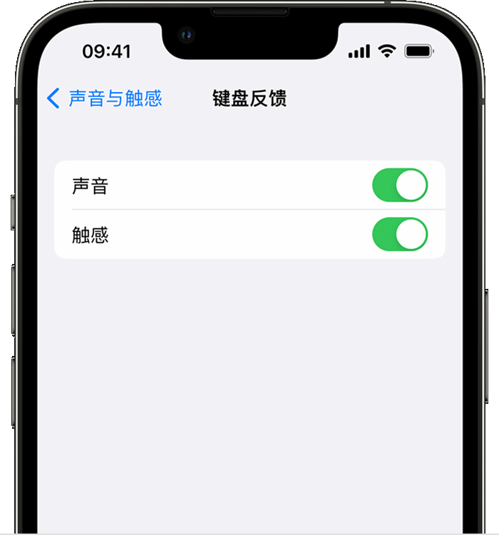 哈尔滨苹果14维修店分享如何在 iPhone 14 机型中使用触感键盘 