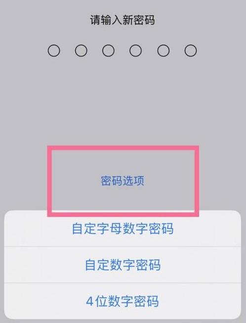 哈尔滨苹果14维修分享iPhone 14plus设置密码的方法 