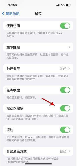 哈尔滨苹果手机维修分享iPhone手机如何设置摇一摇删除文字 