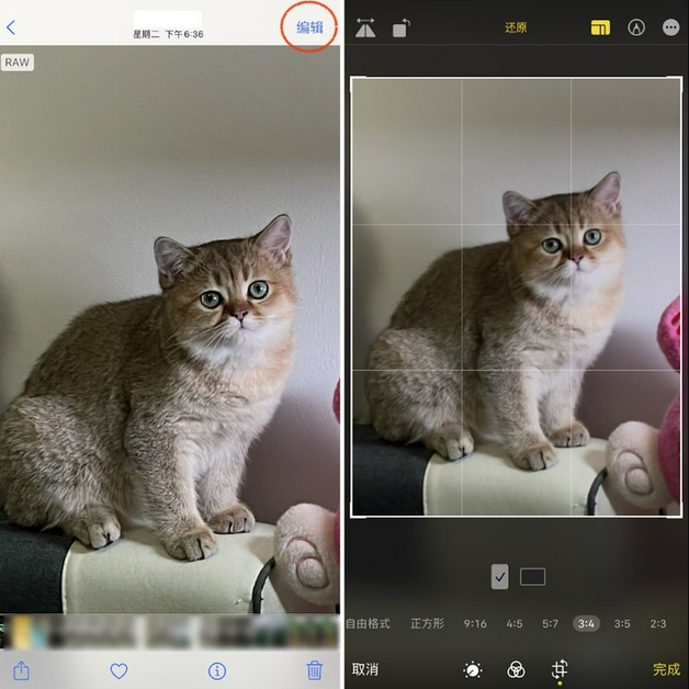 哈尔滨苹果手机维修分享苹果 iPhone 12 Pro 拍照会过度锐化 