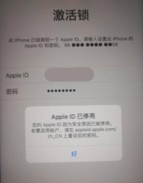 哈尔滨苹果手机维修分享iPhone 12 出现提示“Apple ID 已停用”怎么办 