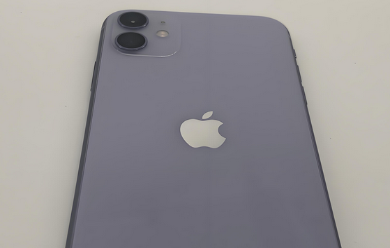 哈尔滨苹果11系统维修分享iPhone11手机系统崩溃无法开机如何解决 