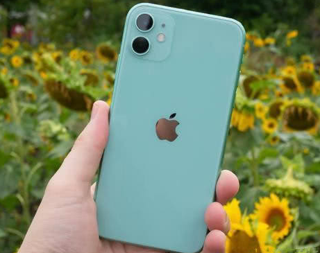 哈尔滨苹果维修点分享iPhone 11锁屏密码认知与使用科普 