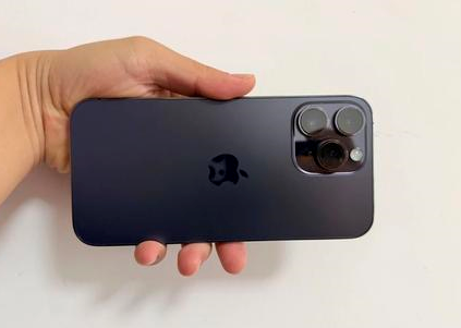 哈尔滨苹果维修点分享iPhone 14 Pro Max黑屏少见故障盘点 